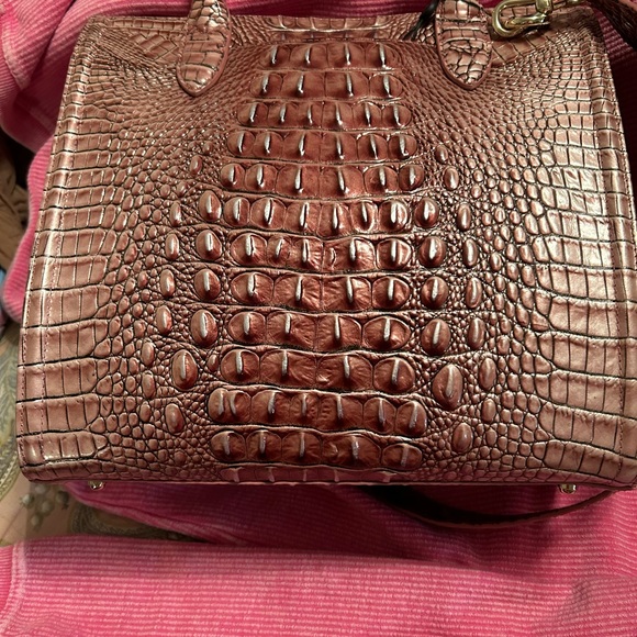 Brahmin - Picture 2 of 7